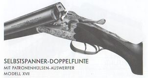 Sauer17.jpg